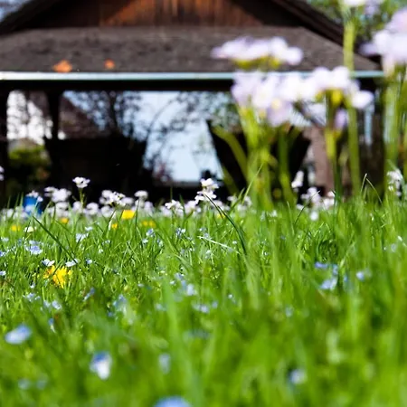 Отель Haus Schlesien Кёнигсвинтер